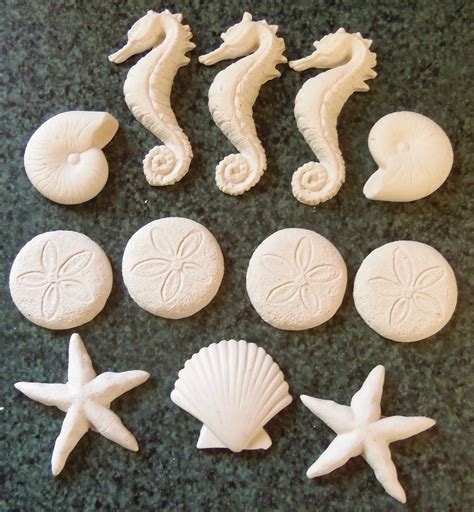 Seahorse Seashell Starfish Sand Dollar Cabochons Polymer Clay