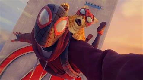 Spiderman Y Spidercat Fondo De Pantalla 4k Hd Id6709