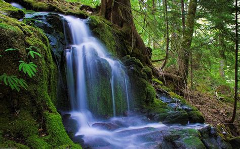 Nature backgrounds are among the most using nature images as wallpapers nature background images make particularly good wallpapers you don't want to worry about covering up interesting elements in your wallpaper, so choose an. New Wallpapers Nature HD 2015 - Wallpaper Cave