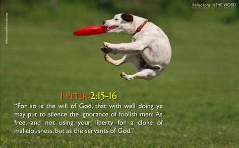 Yet do it with gentleness and respect 1 Peter 2-15-16 | Reflections in The WORD