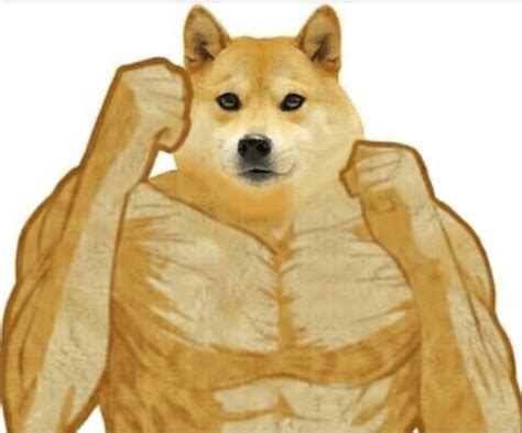 Doge Memes Strong Doge Meme 2021 Doge Meme Templates Memes