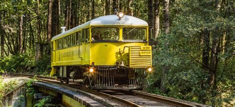 Skunk Train Ride Amongst Californias Giant Redwoods Wheretraveler