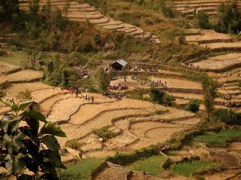 11 Places To Visit In Nagaland Tourist Places In Nagaland