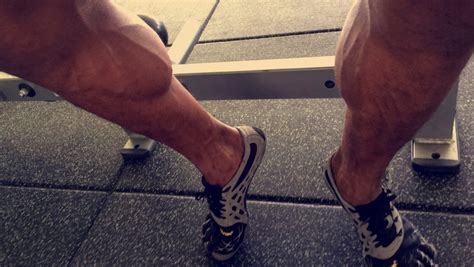 Controversial muscle builder mimics the effects of roids. How to build bigger calves - Stabroek News
