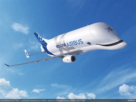 Much like the animal it is named after, the beluga xl has a distinctive hump to its shape that is larger than. Beluga XL - the new oversized freighter from Airbus | UK ...