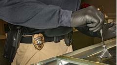 Demystify The Unknown Explore Green Bays Police Investigation Secrets