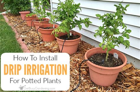 13 Diy Options For A Drip Irrigation System To Save You Time And Money