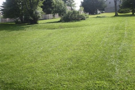 Search virginia waterfront properties for sale. Land For Sale Near South Holston Lake In Abingdon Va