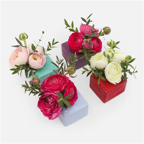 Order by 3pm for same day delivery! Four Seasons - Flower Delivery NYC - Plantshed.com