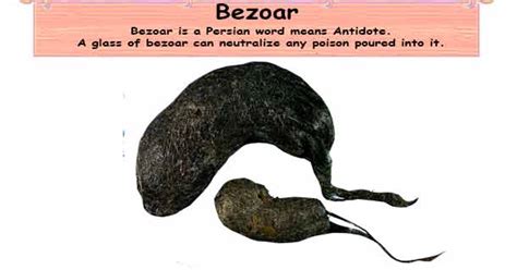 Synergistic effect of multiple predisposing risk factors on the development of bezoars // world j. Bezoar | Types, Symptoms, Causes, Diagnosis test & Treatment