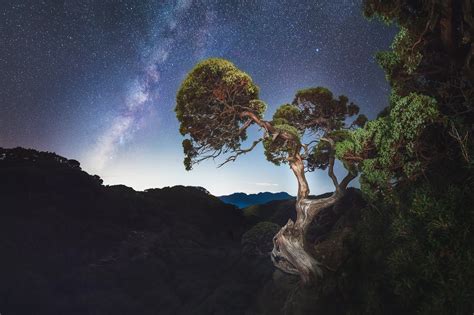 Dark Night Sky Stars Nature Trees Wallpapers Hd