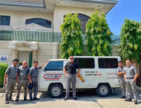 The team consists of 5 students and took 6 months of development time at vfs game. Commercial Pest Control - Pest Ex Philippines