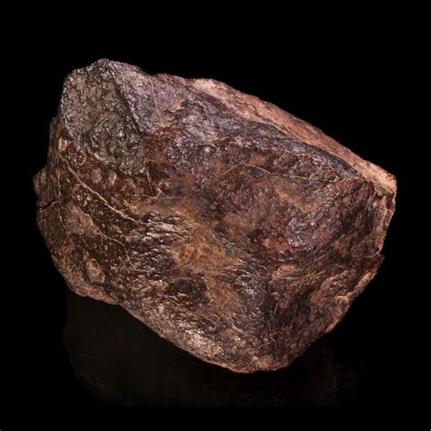 17 Best Images About Meteorite On Pinterest Museum Of