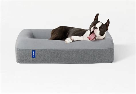 K&h original pet cot best premium dog bed: Casper Dog Mattress » Gadget Flow