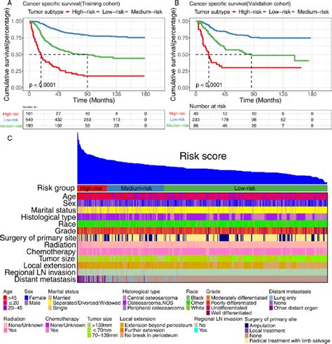 Overview Of Risk Stratification System According To Risk Points Download Scientific Diagram