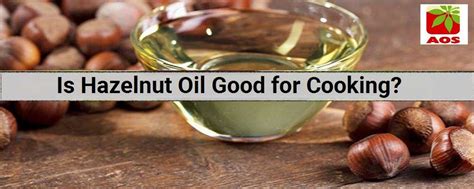 About Hazelnut Oil Benefits And Uses For Skin AOS Blog