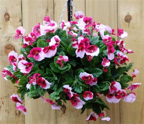 Free shipping on qualified orders. Pretty pink pansy artificial hanging basket - The ...