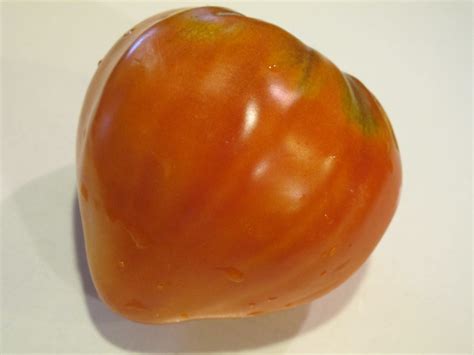 Mcga Board Blog Italian Oxheart Tomato