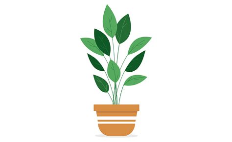 animated plant illustration par primroseblume · creative fabrica