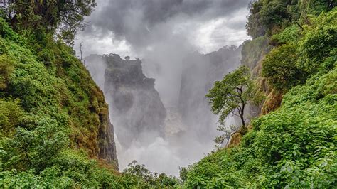 Wallpaper Trees Forest Mountains Valley Clouds Victoria Falls