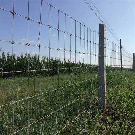 Hinge Joint Field Fence The Most Common And Economical Fence Type