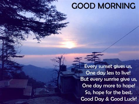 Good Morning Sun Quotes Quotesgram