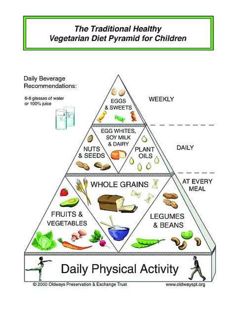 Department of agriculture released a new food pyramid, which breaks food categories into a spectrum to emphasize variety. The vegetarian, or vegan diet pyramid for children is the ...