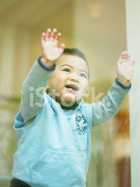 Toddler Boy Standing Against Window Stock Photo Royalty Free Freeimages