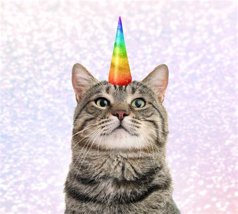 Cute Cat With Rainbow Unicorn Horn On Blurred Sparkling Background