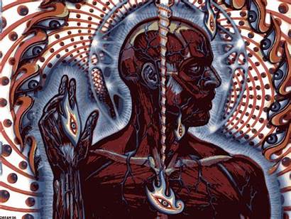 Tool Alex Grey Wallpapers Lateralus Psychedelic Trippy