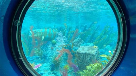 Finding Nemo Submarine Voyage Finally Resurfaces At Disneyland Disney