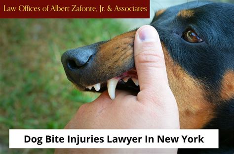Dog Bite Injuries Lawyer In New York Did Your Neighbors D Flickr