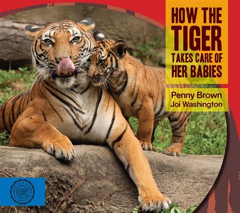 How The Tiger Takes Care Of Her Babies By Penny Brown Joi Washington
