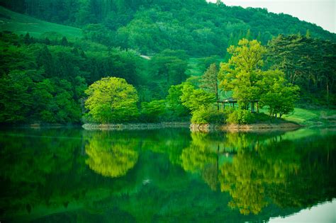 Free Images Landscape Tree Water Nature Forest