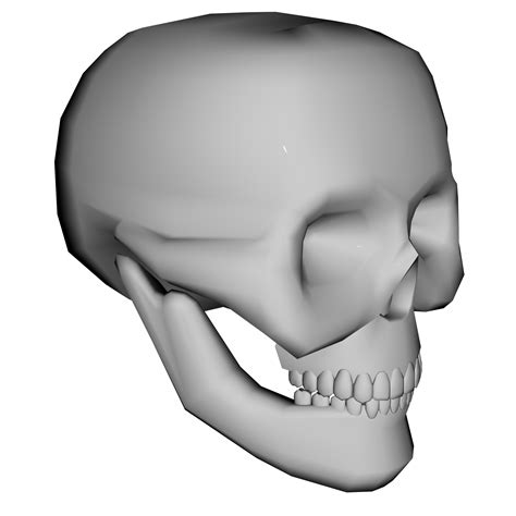 Grey Skull Free Stock Photo Public Domain Pictures