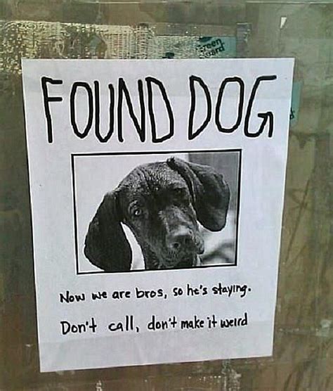 20 Funny Lost And Found Pet Posters