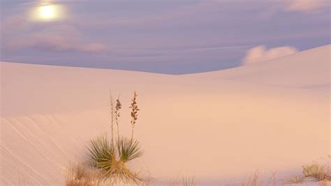 White Sands Wallpapers Wallpaper Cave