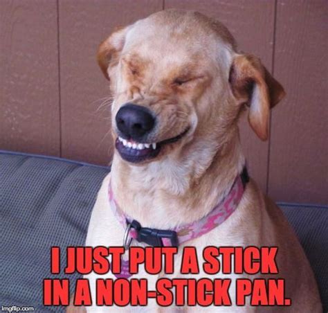 I Just Put A Stick In A Non Stick Pan I Am So Gosh Darn Funny