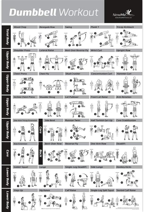 Dumbbell Workout Exercise Poster Now Laminated Strength Training Chart Build Muscle Tone
