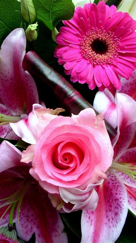Iphone Wallpaper Hd Pink Flower ~ Cute Wallpapers