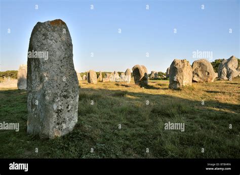 The Standing Stones Of Carnac Brittany France Stock Photo Alamy