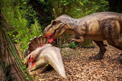 Top 12 Largest Meat Eating Dinosaurs That Ever Lived