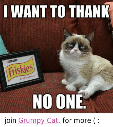 I Want To Thank No One Join Grumpy Cat For More Cats Meme On Sizzle