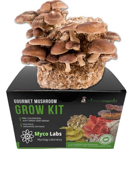 Shiitake Mushroom Grow Kit 5lbs