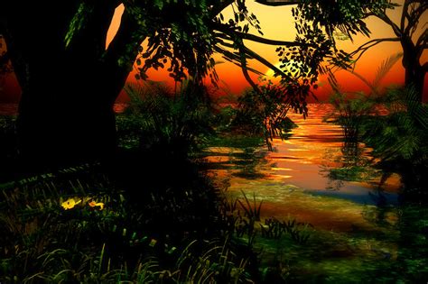 Jungle Sunset 2 Shangshaptak Flickr