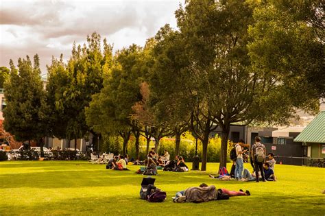 The university of chile (spanish: Universidad San Francisco de Quito; entre los campus más ...
