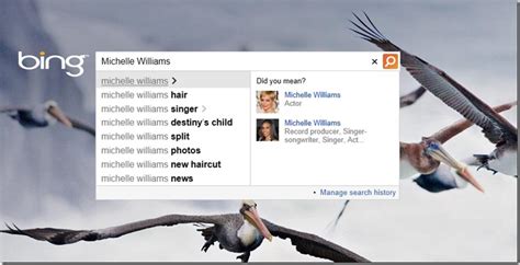 Bing Adds People Autosuggest Find Celebrities And Colleagues With Public