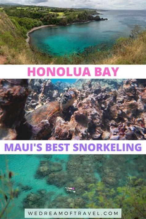 🤿 Honolua Bay 2023 Guide To Mauis Best Snorkel Spot