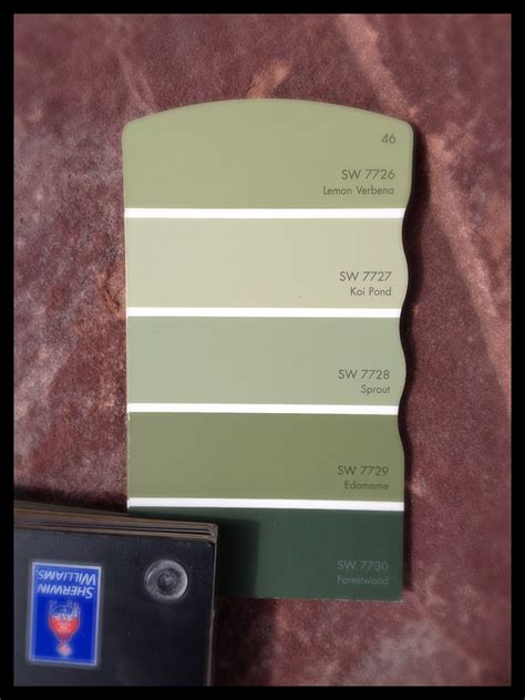 Exploring The Beauty Of Sage Green Paint Colors Paint Colors