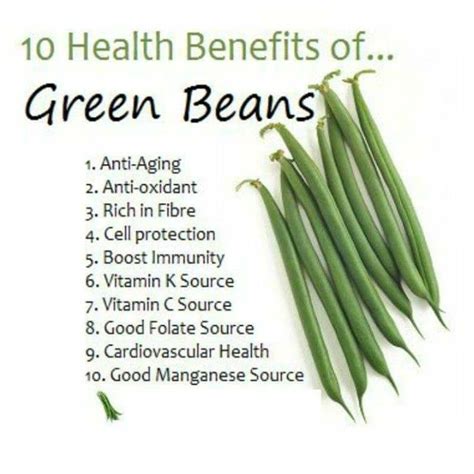 pin by d baugh on inspirational food health benefits beans benefits green beans benefits